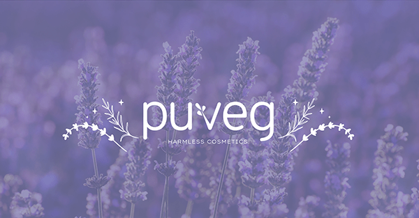 Puveg | Brand Identity Design | Illustration