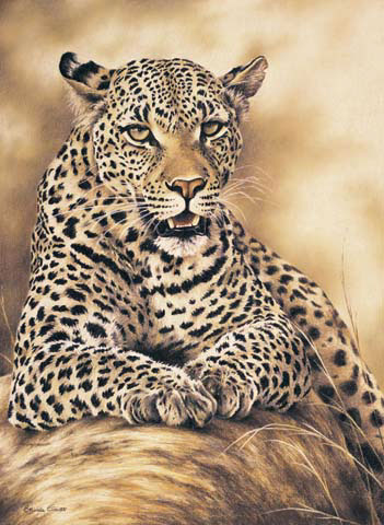 art wildlife art Paintings commisioned art artist African Art Freelance Artist