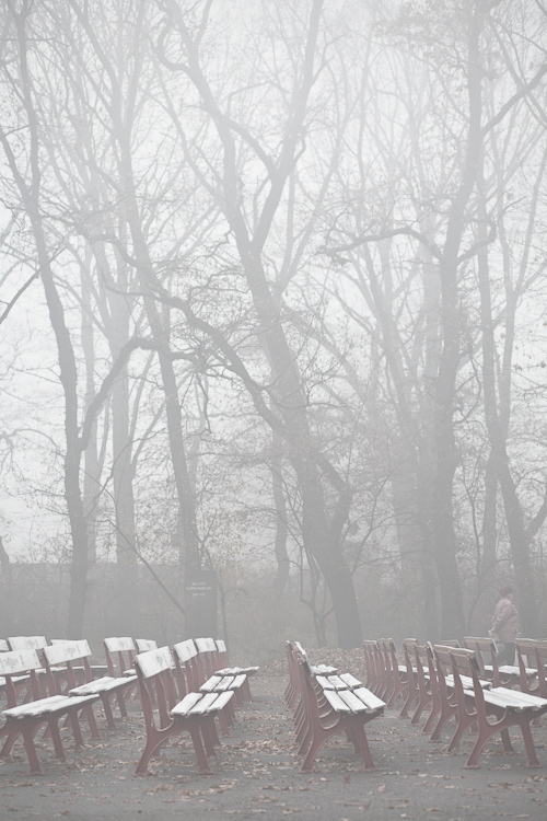 mist Park sofia bulgaria autumn winter dark gloomy atmospheric