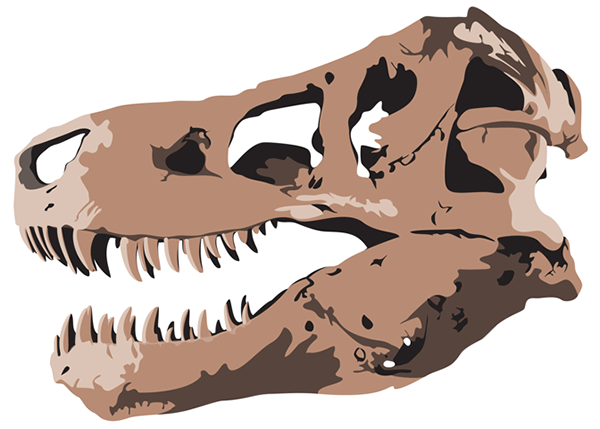 T-Rex skull illustration on Behance