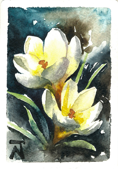 watercolor Flowers spring