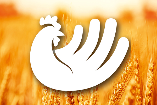 De Hoop twaalfdozijn rob gros chicken Logo Design poultry 12dozijn logo The Netherlands Easter eggs Food 