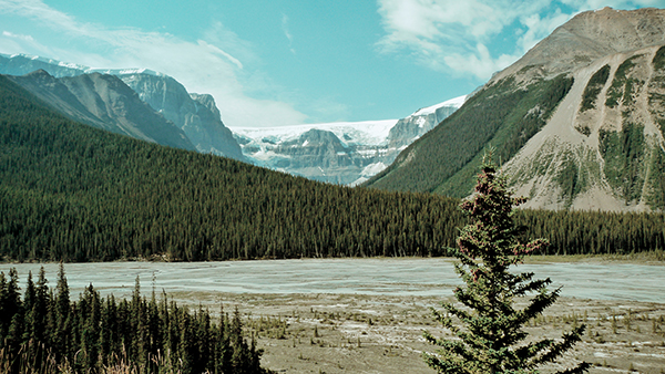 Canada  Alberta  Jasper  banff  rocky mountains  mountain  icefield  landscape