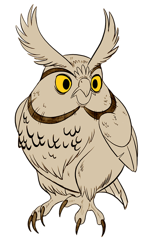 owl burrowing owl Great Horned Owl barn owl