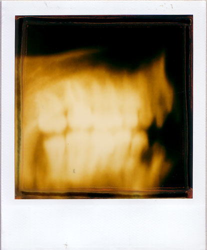 polaroid 600 instant film POLAROID