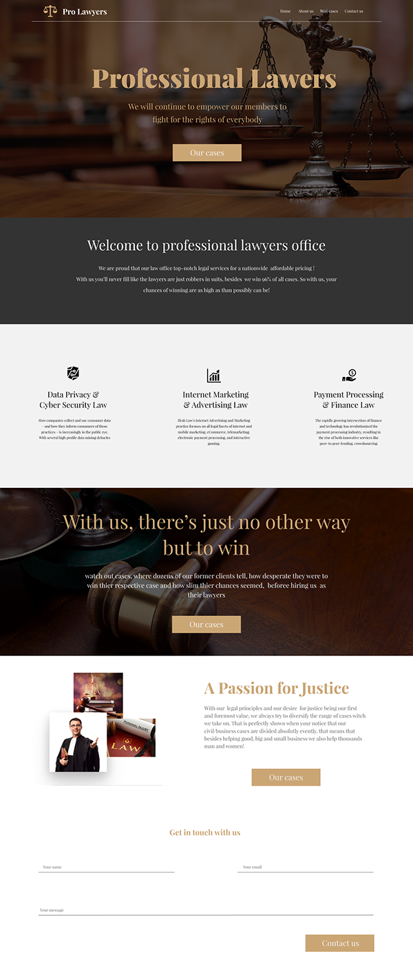 Pro Lawyers. Website concept