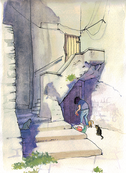 Journalistic Drawing painting   Drawing  gouache Marker ILLUSTRATION  cats city viterbo Italy
