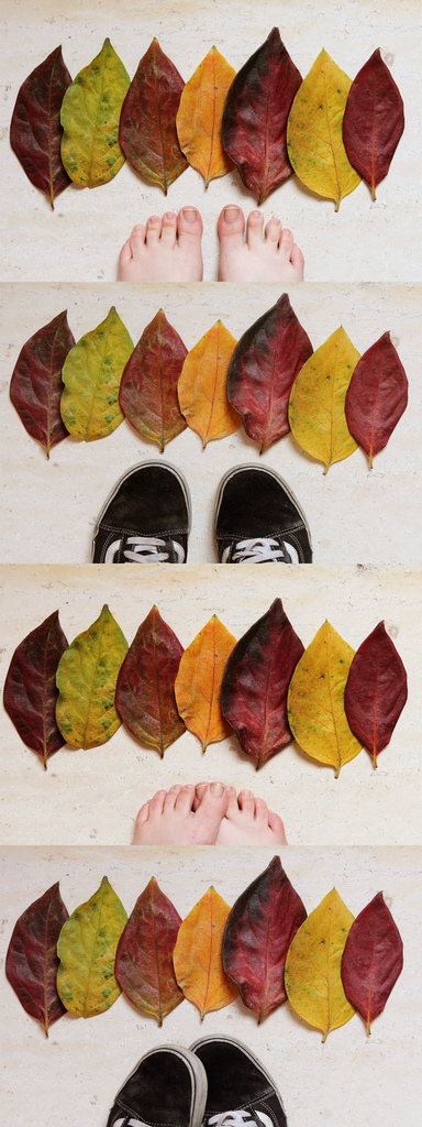scarpe shoes foglie leaves autumn autunno Canon canon eos 600D eos 600d digital digitale