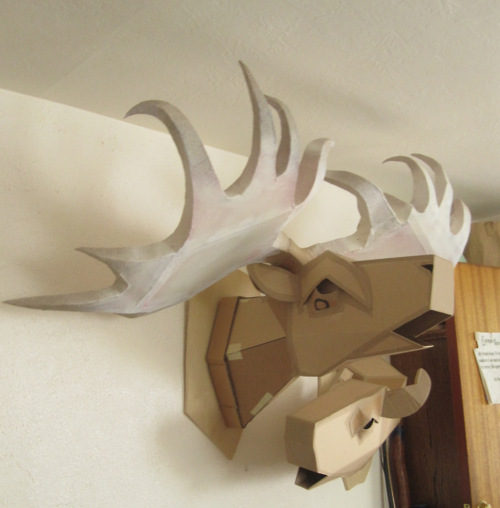 elk animals cardboard  sculpture color trophy  head