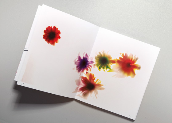 brochure trends textile colorful energetic Softness natural freshness daisy