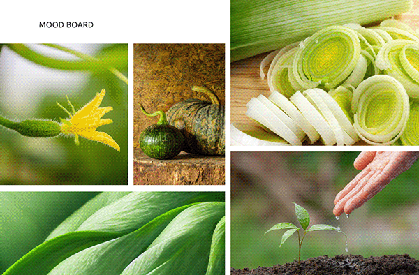 Фирменный стиль | Логотип | Eco Food | Агрохолдинг