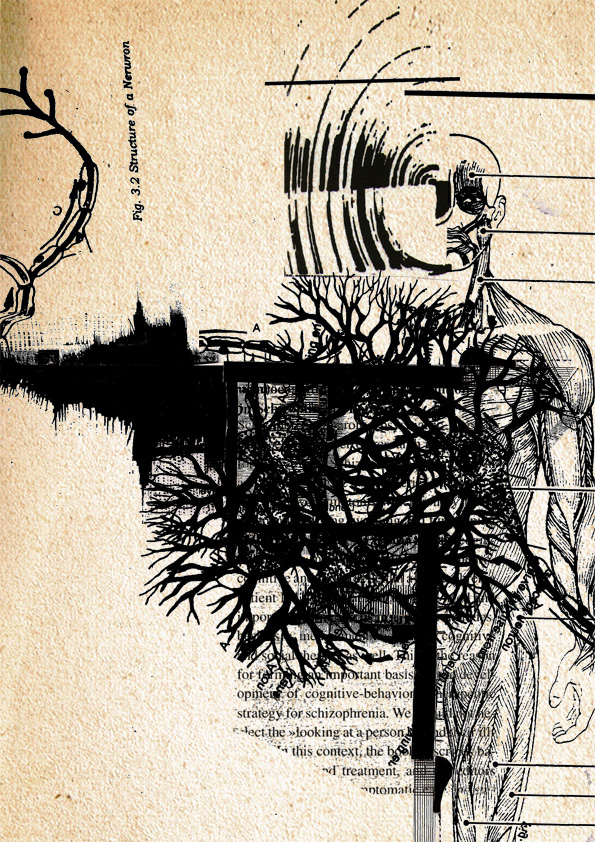 experimental Human Body cuerpo humano blanco y negro grafica ilustracion