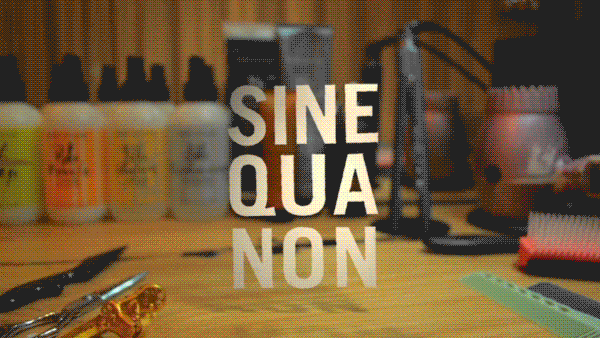 Sine Qua Non salon SQN Animated Logo logo-motion Anthony Esquivel Ae