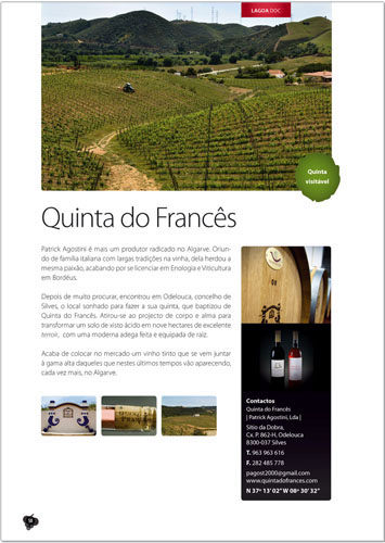 wine guide guia de vinhos Layout editorial