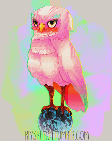 owl Nature bird neon