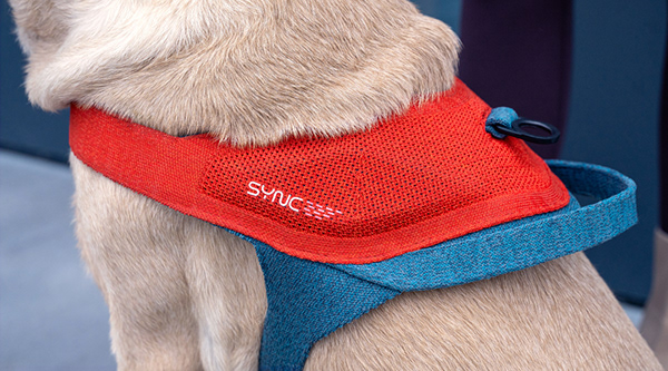 Project SYNC: our vision on dog harnesses