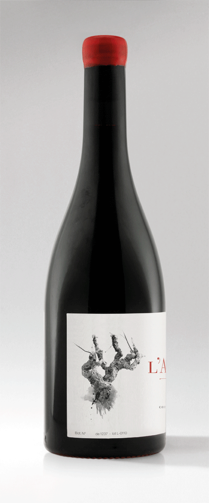 wine bottle vino botella Merlot seri gomes uva cep vine wine label