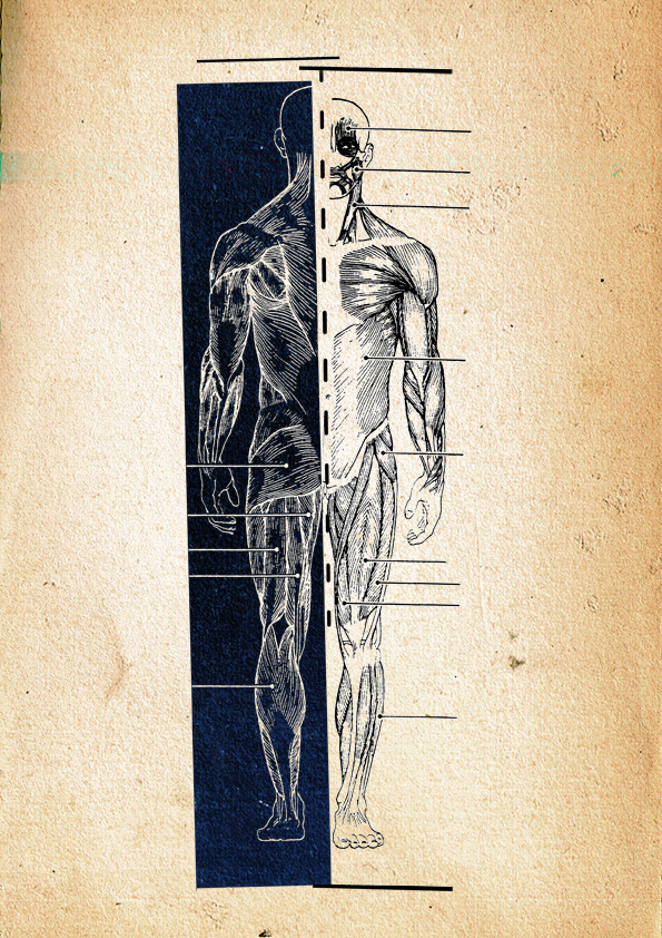 experimental Human Body cuerpo humano blanco y negro grafica ilustracion