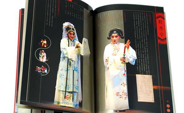 江苏省舞台艺术 brochure