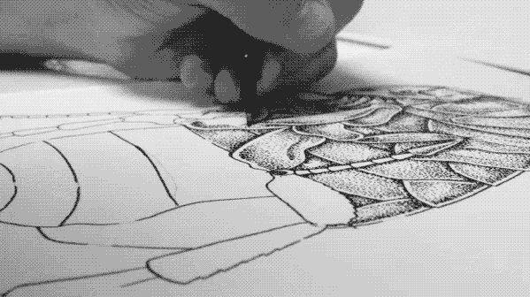 publicis frontline pulga flea pontilhismo Pointillism dog Carrapato tick ink pen point bug paper handmade