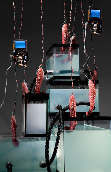 Max Shuster octopus lobster science Generator organic biological mechanical