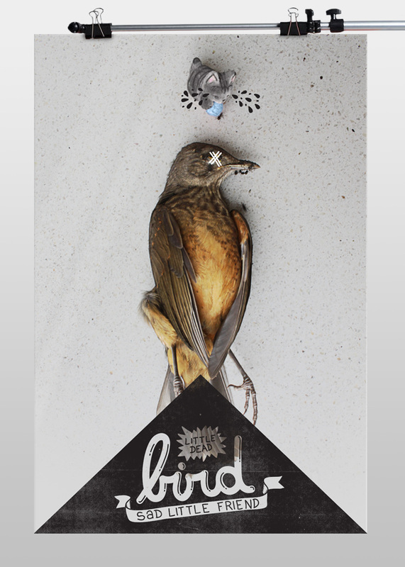 bird  typography poster