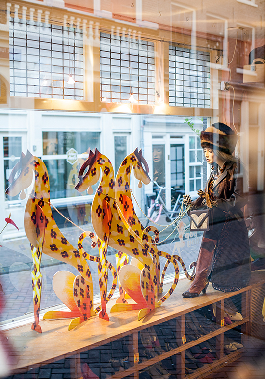 etalage winkel boutique vintage store shop decoration Shopwindow tiger leopard panther Cat