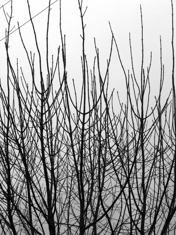 Leonardo Porrés Black and white photography black & white photography En Crudo In Raw contrast
