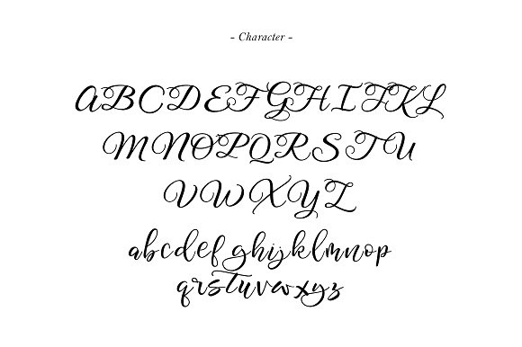 typography   Calligraphy   Script modern script swash