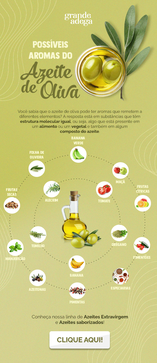 AZEITE design design gráfico graphic design  infográfico infographic olive Olive Oil