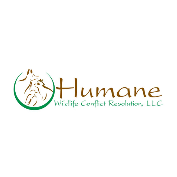 Logo Design branding  humane logo custom logo logo design usa