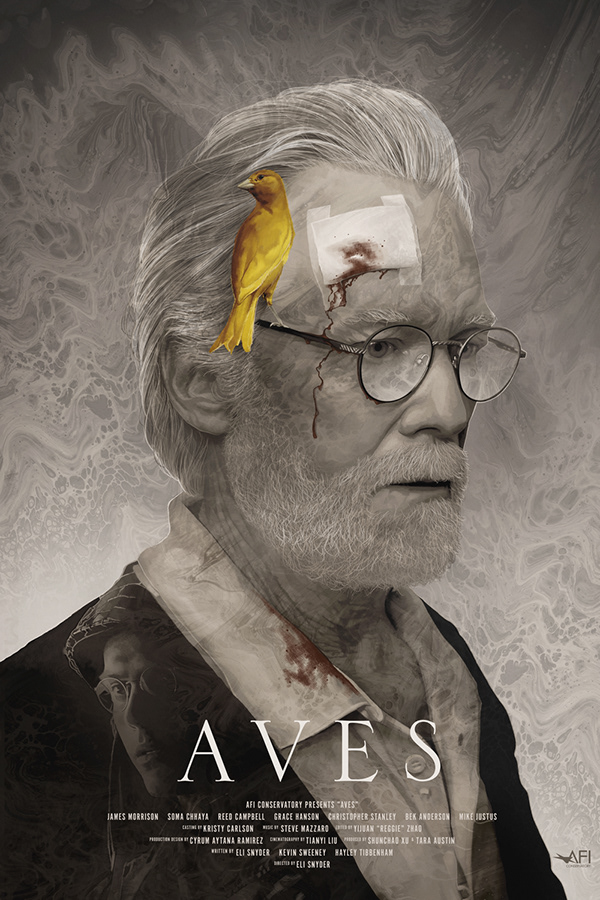 AVES Eli Snyder / 2022 - poster design by Tomasz Majewski