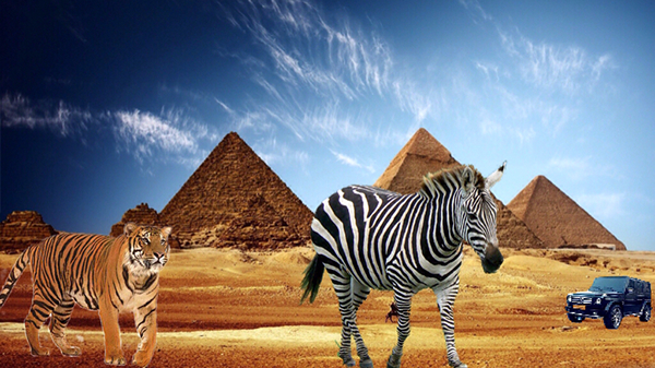 тигр зебра гелентваген пустын и пирамиды