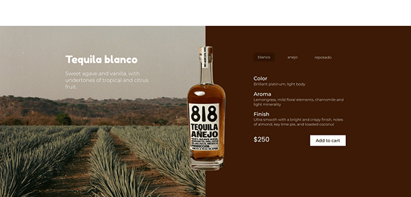 Landing page for tequila company