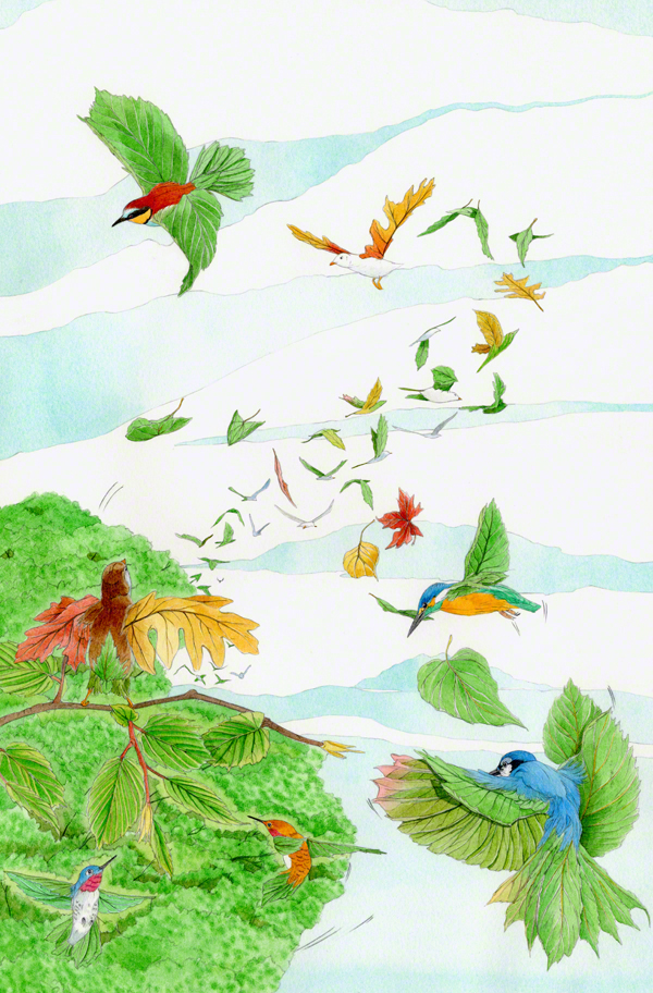 birds children's book Picture book watercolor Nature