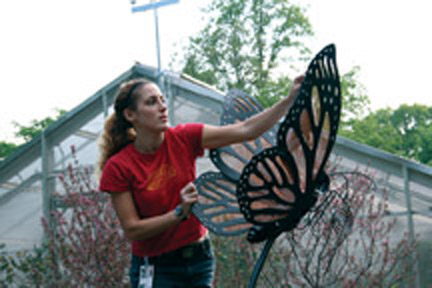 bronx zoo Butterfly Garden flower sculptures Garden Sculptures bugs butterflies