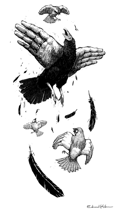 animal  creatures  handimal hands cross hatching Cintiq Form and Function quirky Absurd