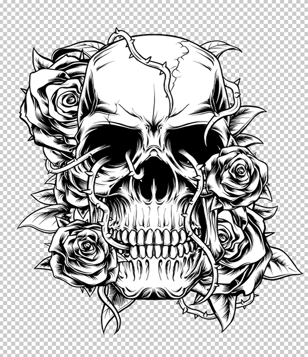 Skull and Roses on Behance