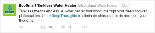 Ecosmart Tankless Water heater