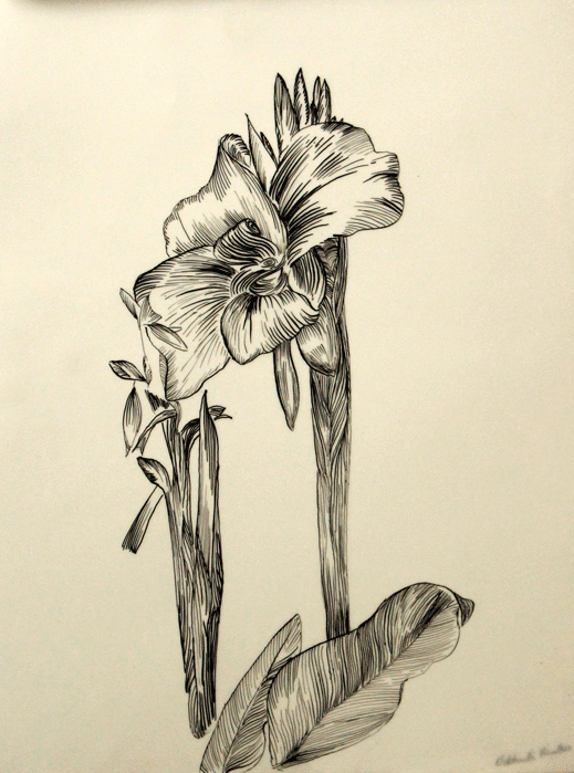 line drawing pen and ink