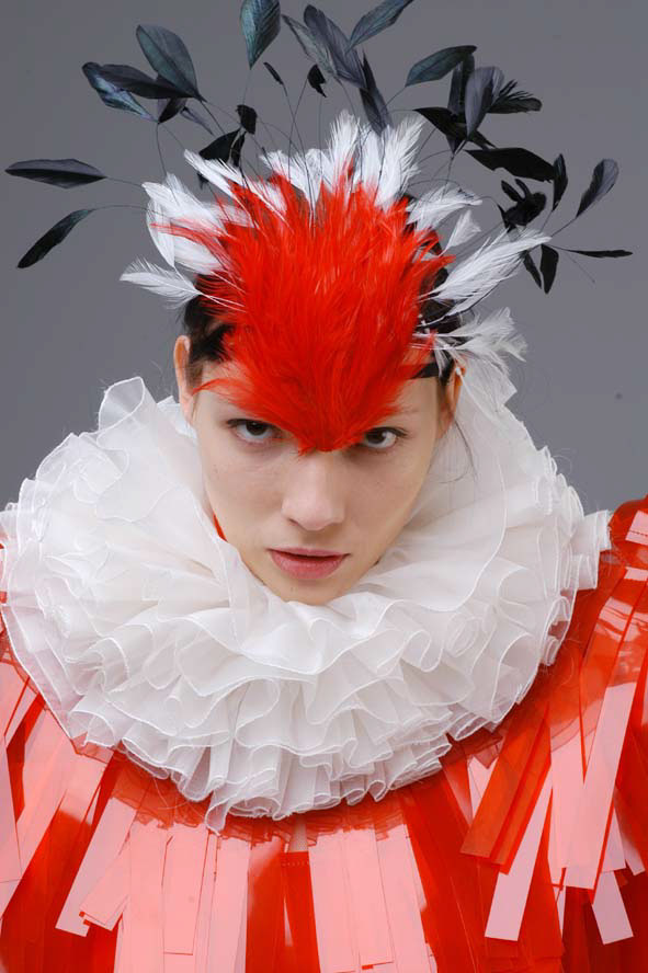 plastic feathers red birds costume Collection