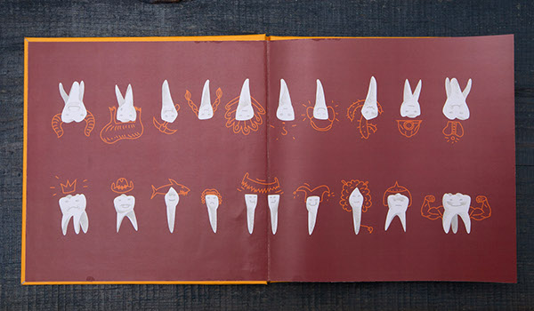 Teeth story book