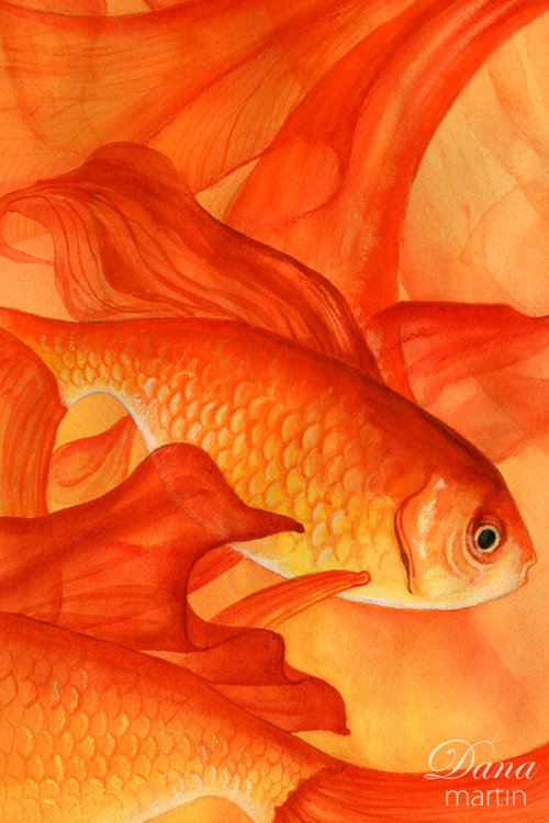 dana martin goldfish fish veiltail orange yellow gold