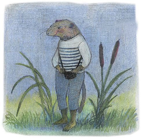 Maya Miyama ILLUSTRATION  The Cornfield Alison Uttley kidlit Unpublished Project Character design  colored pencil pencil water colour