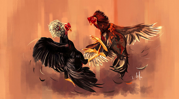Fighting Cocks Vicious Attack Clawing Each Stock Photo 178958396 |  Shutterstock