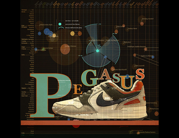 Shoe project-Pegasus Nike