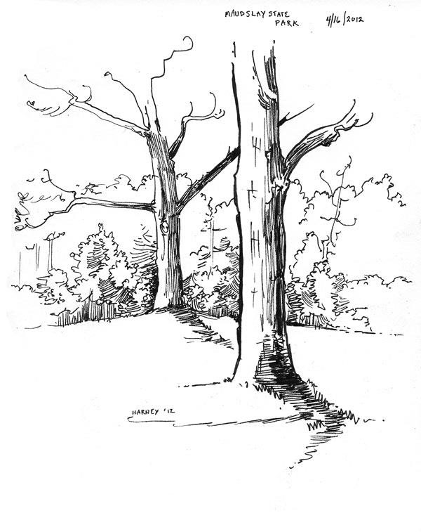 pen and ink  pen  ink  drawing sketch  sketchboooks  trees  landscapes  parks  2012