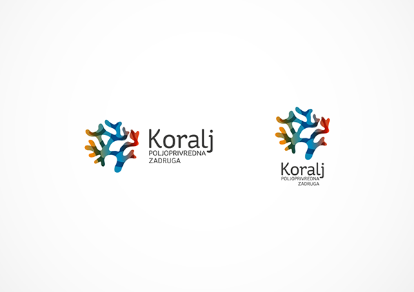 Koralj identity