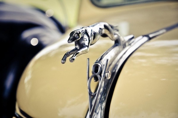 car Cars Mustang old Federico Suarez Motio Ideas photo foto Fotografia Autos