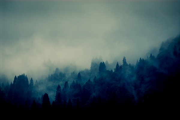 Nature Landscape germany forest mist fog mountain wild Tree  colour Garmich-Partenkirchen FINEART Bayern Bavaria